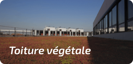 toiture_vegetale